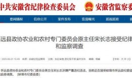 安徽怀远爆料最新消息视频,视频揭示惊人事件详情